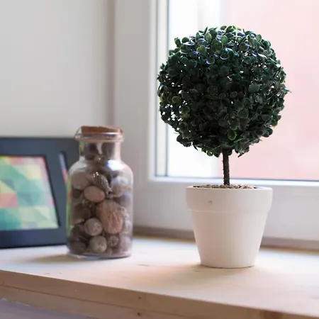 Гостьовий будинок Blue